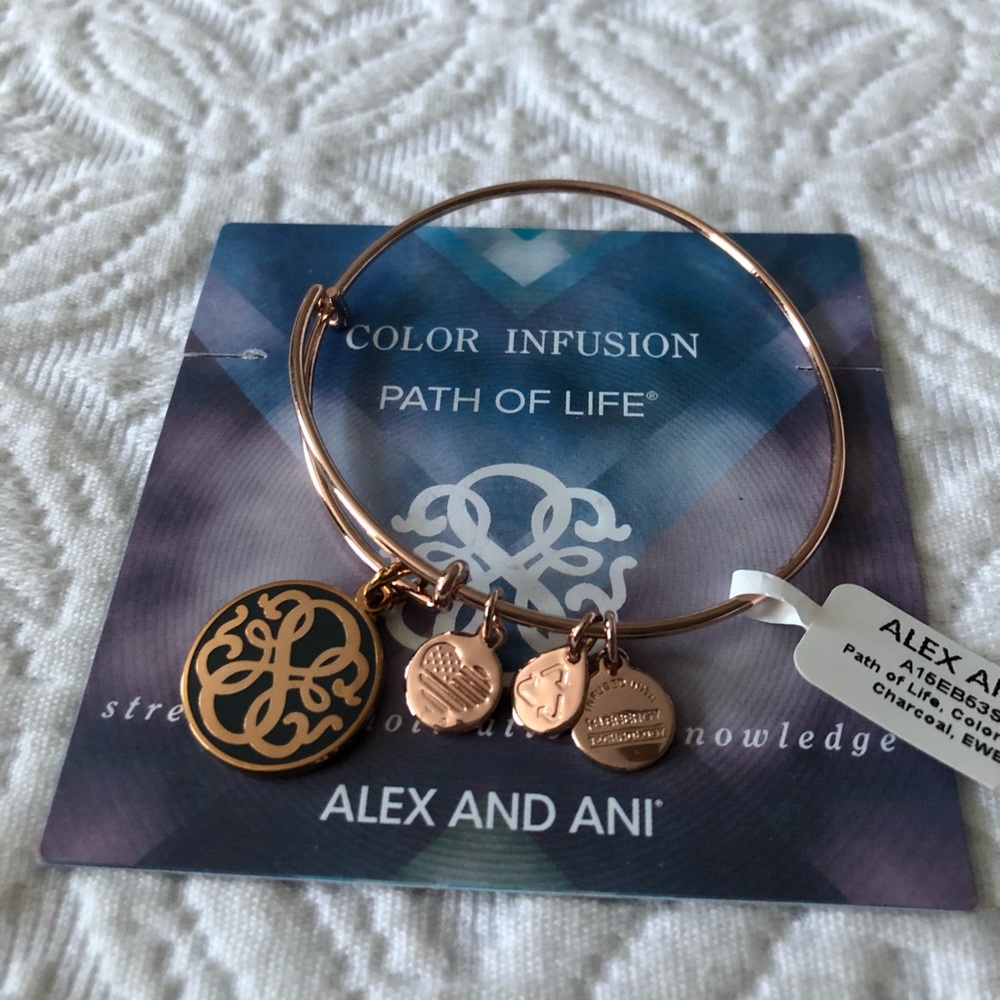 NEW Alex and Ani Path of Life bracelet